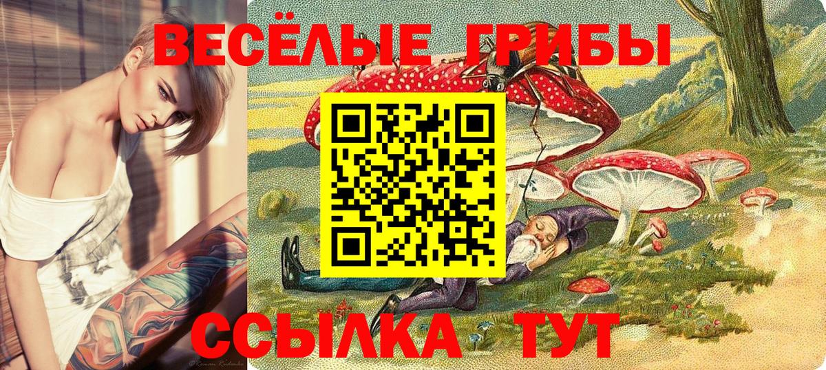 Псилоцибиновые грибы Magic Shrooms Ивантеевка