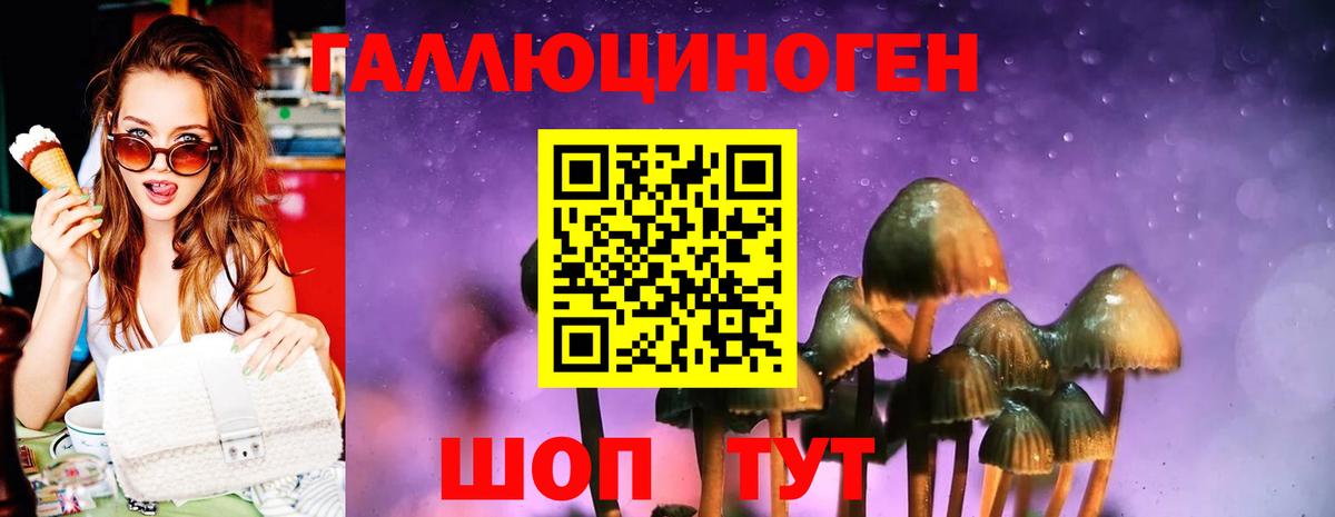 Ивантеевка  Псилоцибиновые грибы прущие грибы  Псилоцибиновые грибы Magic Shrooms  Вход с VPN 